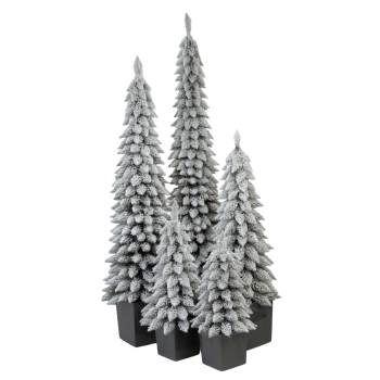 Choinka Świerk Modern Snow w donicy 80cm